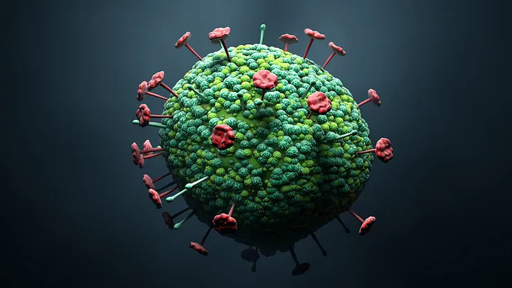 Nipah Virus in Kerala: Understanding the Role of PPE Amidst Recent Outbreaks