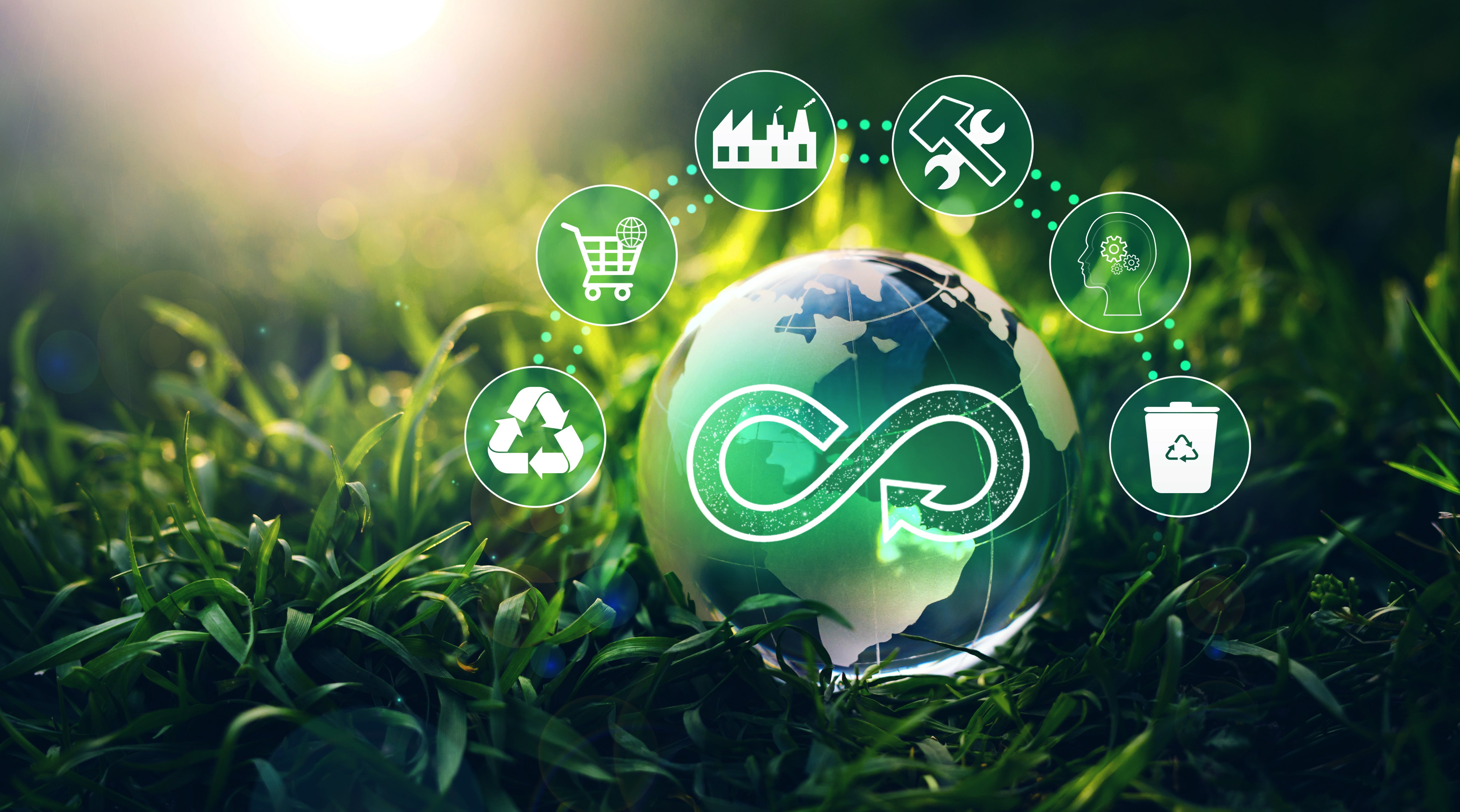 Join the Green Revolution: How This Generation is Shaping Circular Economies