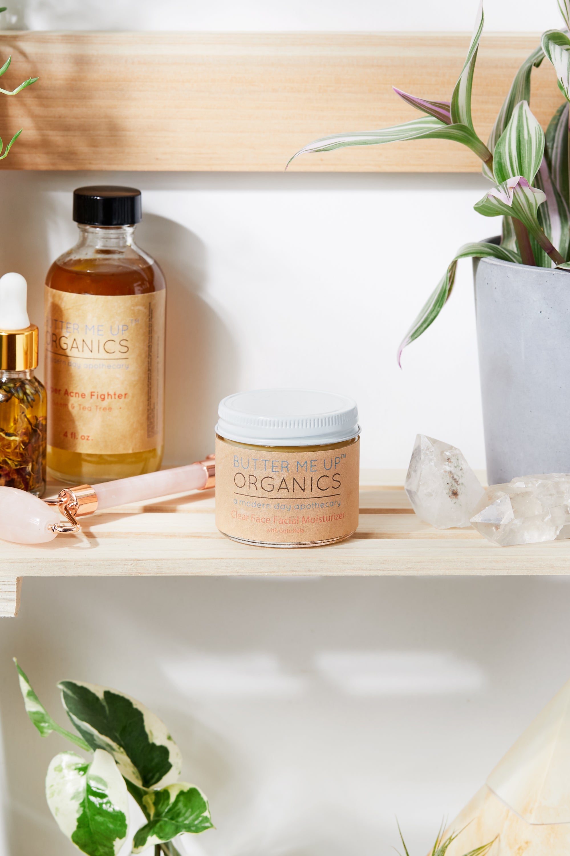 Organic Green Tea Night Cream – Anti-Aging Face Moisturizer