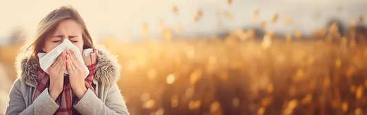 Breathe Easy: Navigating the Fall Cold and Allergy Season with KN95 Disposable Face Masks