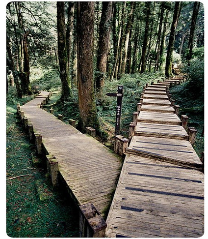 Embracing Lifestyle Choices: Shaping Our Unique Paths