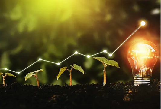 5 Ways to Up Your Mask Sustainability Game