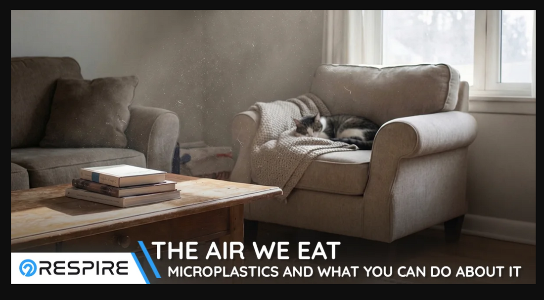 The Air We Eat: Microplastics in Indoor Air