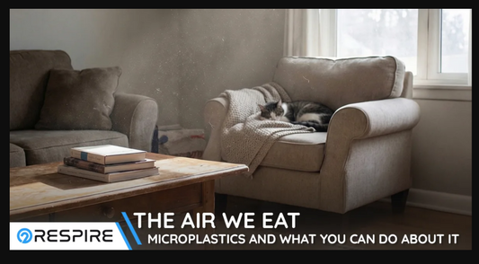 The Air We Eat: Microplastics in Indoor Air