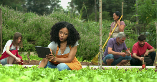 Navigating the Green Life: Your Guide to an Eco-Friendly Future