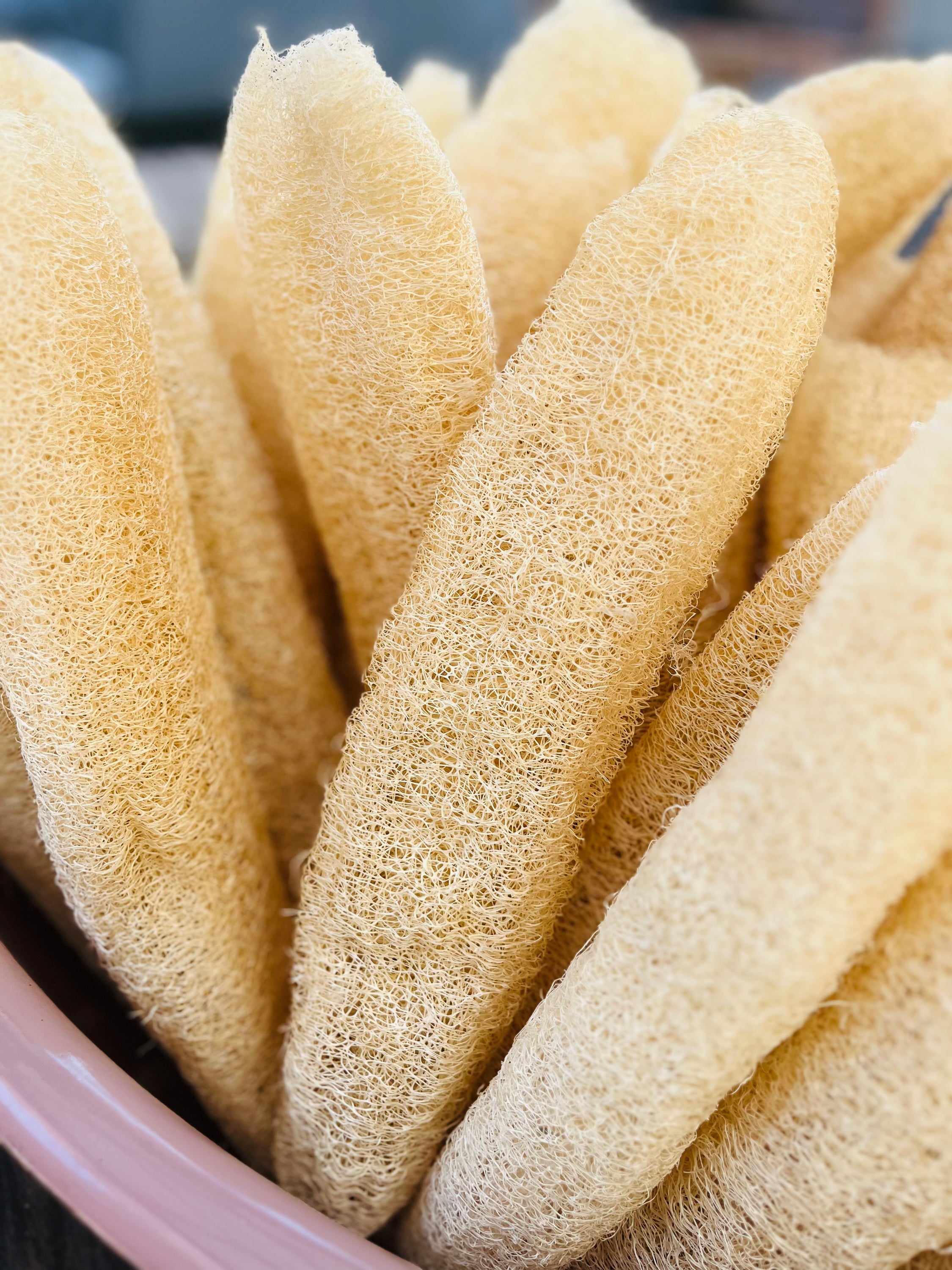 Natural Exfoliating Loofah – Eco Bath Sponge