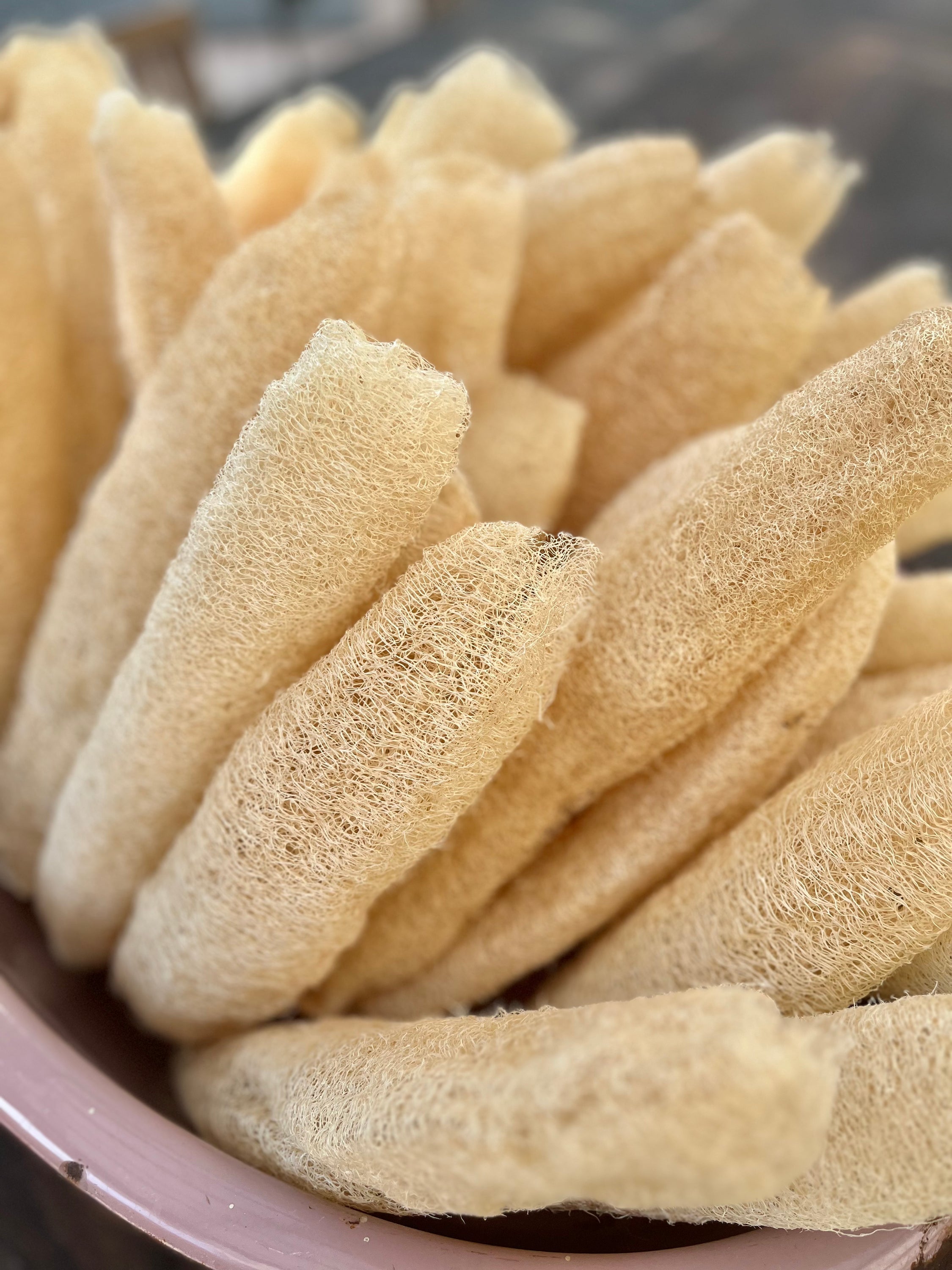 Natural Exfoliating Loofah – Eco Bath Sponge